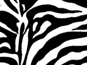 SnoozePac Zebra Texture