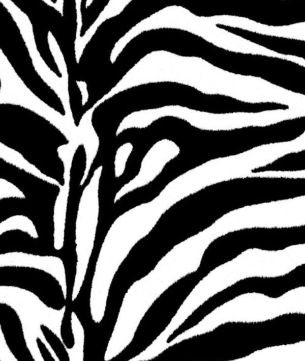 SnoozePac Zebra Texture